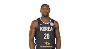 Game Basketball Sticker by FIBA