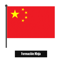 China Flag Sticker by Formación Ninja