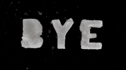 vavra bye byeee byee GIF