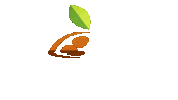 Energy Drink Energy Sticker by Kumquat Solar