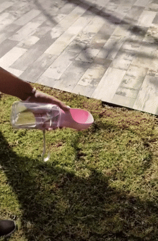 nahueldiazf1552740ac4246eabbaf132b1d6caad4 giphyupload GIF