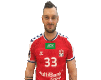 Sport Handball Sticker by HamburgHandball