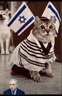 Alpha Israel GIF
