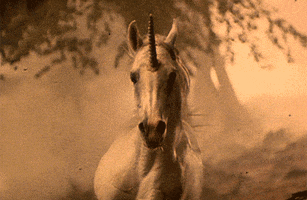 dream dreaming GIF