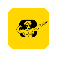 fitkitchencz fit kitchen cz fitkitchen Sticker
