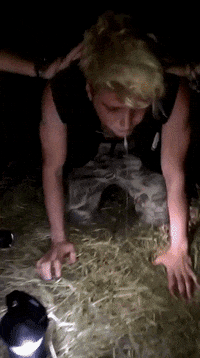 sickday GIF by Sickhouse