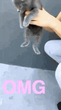 sickday GIF by Sickhouse