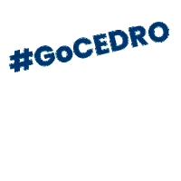 cedrotech cedro cedrotech cedro tech cedro technologies Sticker