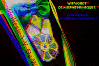 Sport Carnaval GIF by Groene ster