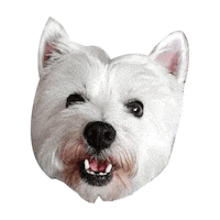 Dogs Puppy Sticker by PranaMKTGroup