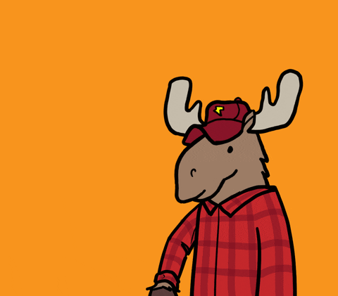 Alaska Moose GIF