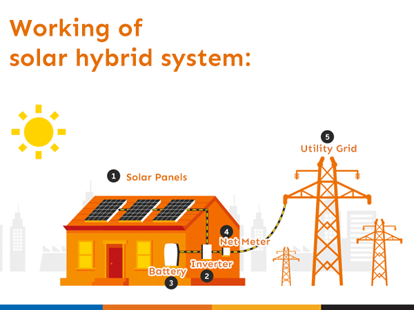 JasSunEdison giphyupload GIF