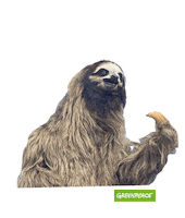 Drake Wtf Sticker by GreenpeaceDeutschland
