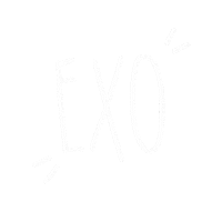 Exo Line Sticker
