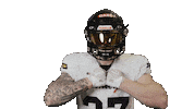 American Football Sticker by Frankfurt Galaxy