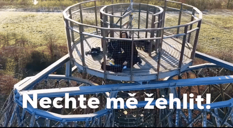 Spezcz nechte mě žehlit GIF