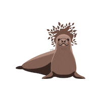 donaraiz saúde dieta foca donaraiz Sticker