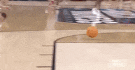 College Basketball Sport GIF by NCAA March Madness