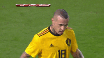 red devils belgium GIF by Sporza