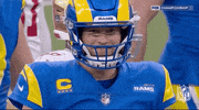Los Angeles Rams Smile GIF by NFL