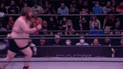 Flip Shoulder Tackle GIF by Leroy Patterson