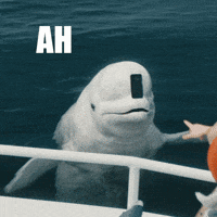 Be Patient Hold On GIF by NerdWallet