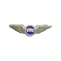 pinnedpins university texas wings christian Sticker