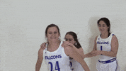 GIF by CUWFalcons
