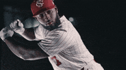 South Carolina Baseball GIF by gamecocksonline