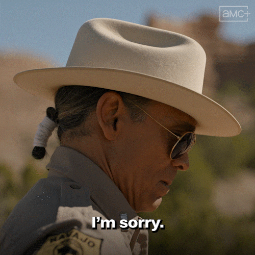 Sorry Zahn Mcclarnon GIF by AMC Networks