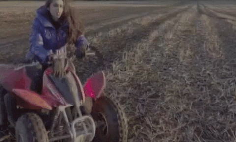 bagodesigns giphyupload GIF