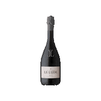 capewine wine bottle sparkling brut Sticker