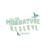 Native Plants Butterfly Sticker by MiniNature Reserve