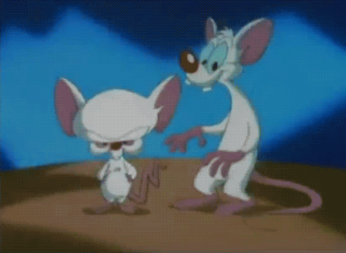 pinky and the brain shock GIF