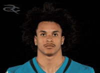 Jacksonville Jaguars GIF by Respective