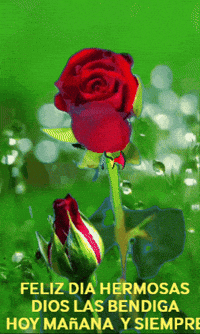 Amigos Familia GIF by Murcianys LLC