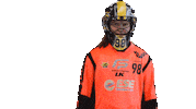 Floorball Salibandy Sticker by F-liiga