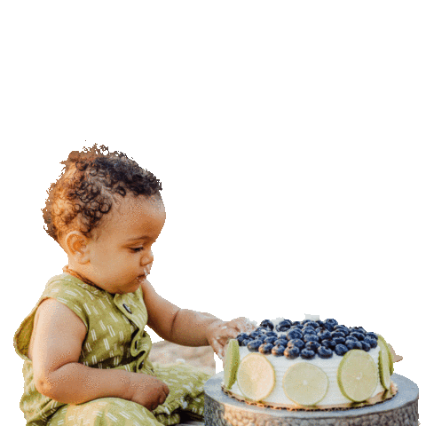 Birthday Cake Sticker by Ashley Rose Clothing