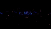 concert GIF by The Orchard Films