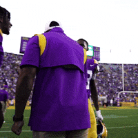 Lsu Football Win GIF by LSU Tigers