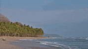Costa Rica Ocean GIF by Chris