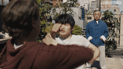 Karate Kid Fight GIF by Sony Pictures