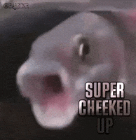 Fish Cheeked GIF