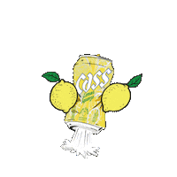 Festival Cass Sticker