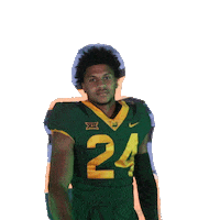 baylor_athletics football college bears collegefootball Sticker