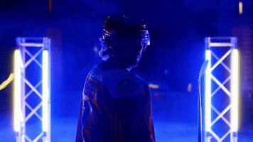 Hockey GIF by Toledo Walleye