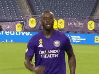 Celebrate Lets Go GIF by Major League Soccer