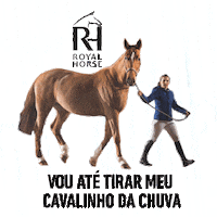 Chuva Sticker by Socil