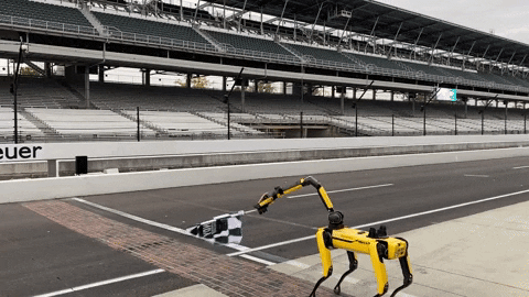 BostonDynamics giphyupload spot race car boston dynamics GIF