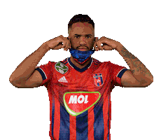 molfehervarfcgif mask covid19 vidi szekesfehervar Sticker